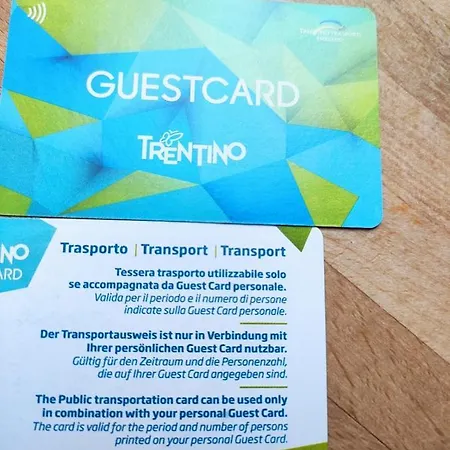 Apartment Lady Tulip - Monolocale